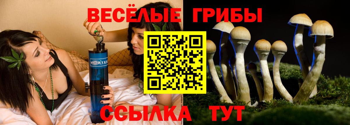 Псилоцибиновые грибы ЛСД Краснознаменск